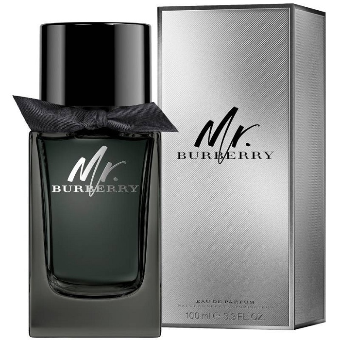 BURBERRY MR. BURBERRY for Men Eau de Parfum 100ml
